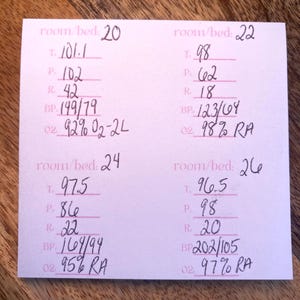 Nurse Note Pads Vital Signs Note Pads CNA vital signs post it notes Nurse Aide Notes Vital Signs Cheat Sheet Vital Signs Tracker RN