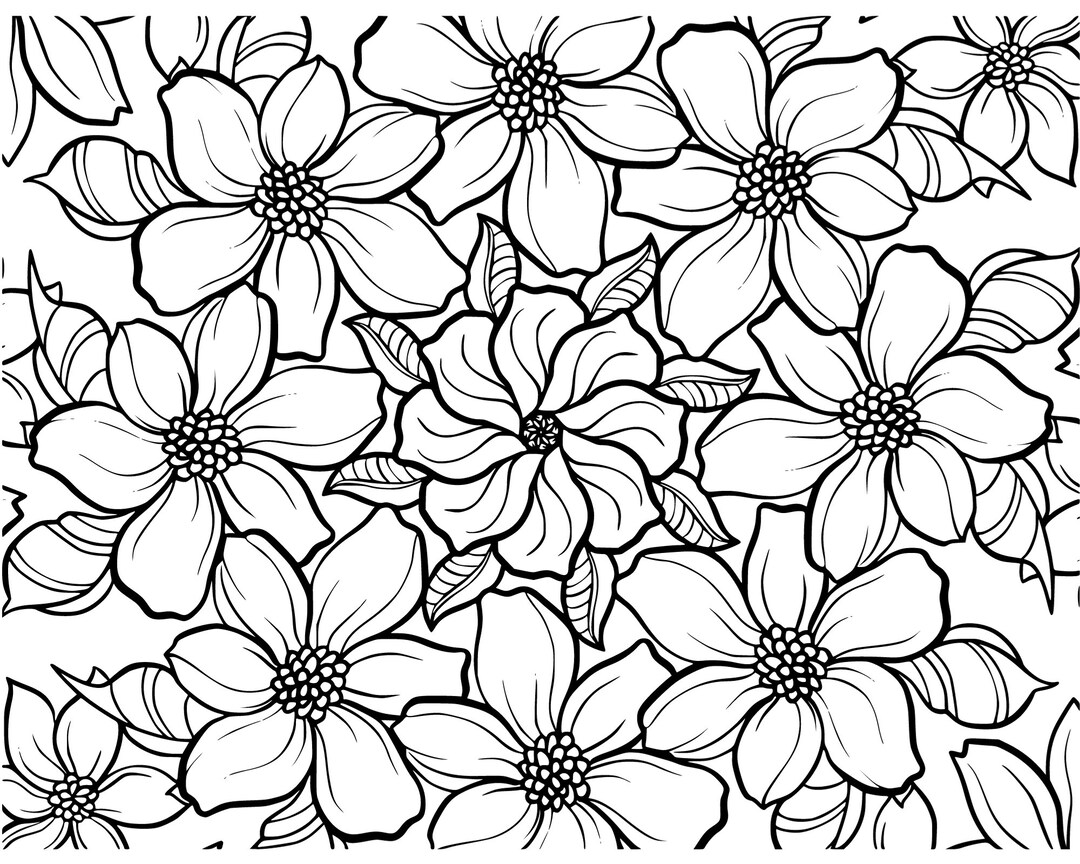 Coloring Pages Black and White Adults or Kids Five Pages - Etsy