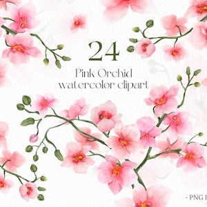 Clipart de aquarela de orquídea rosa PNG, galhos de flores de orquídea pintados à mão para convites de casamento, cartões florais, branding e design digital