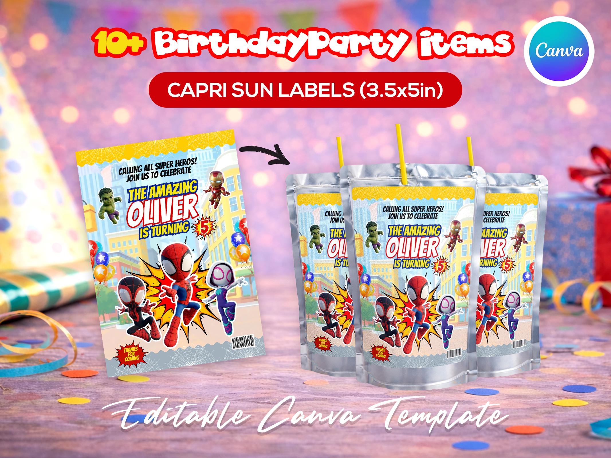 Spider Hero Superhero Party Favor Bundle, Spidey and His Amazing ...