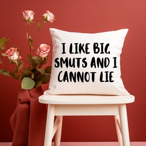 I Like Big Smuts and I Cannot Lie Pillow | 16&quot; x 16&quot; Size | Funny Bookish Gift for Smut Reader | Spicy Book Lover | Bookworm Gift