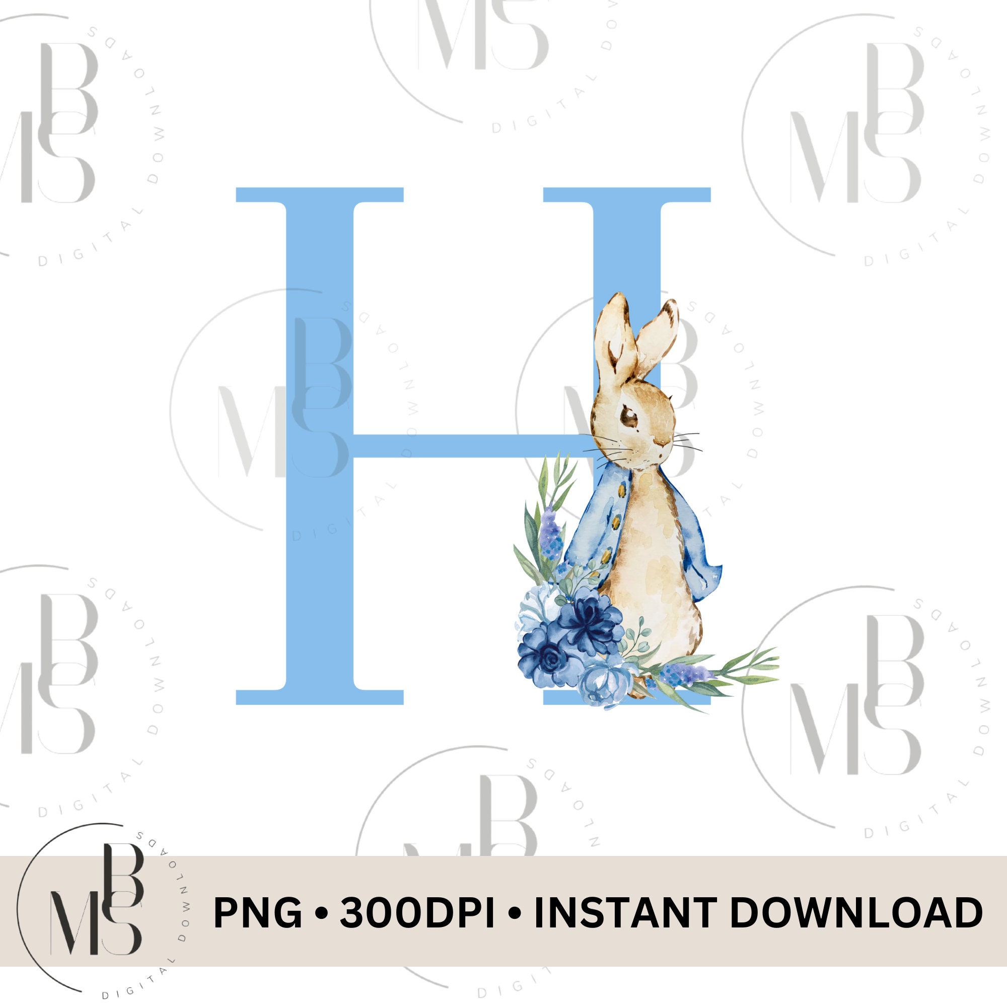 Peter Rabbit PNG | LETTER H | Clipart | Downloadable | Instant Download ...
