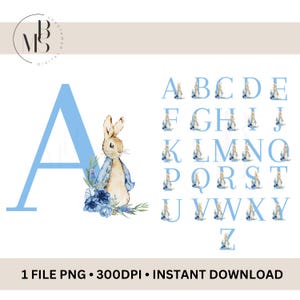 Królik Piotruś PNG | Clipart | Do pobrania | Natychmiastowe pobranie | Do druku | Zdjęcie Królika Kwiatowego | Przezroczyste tło