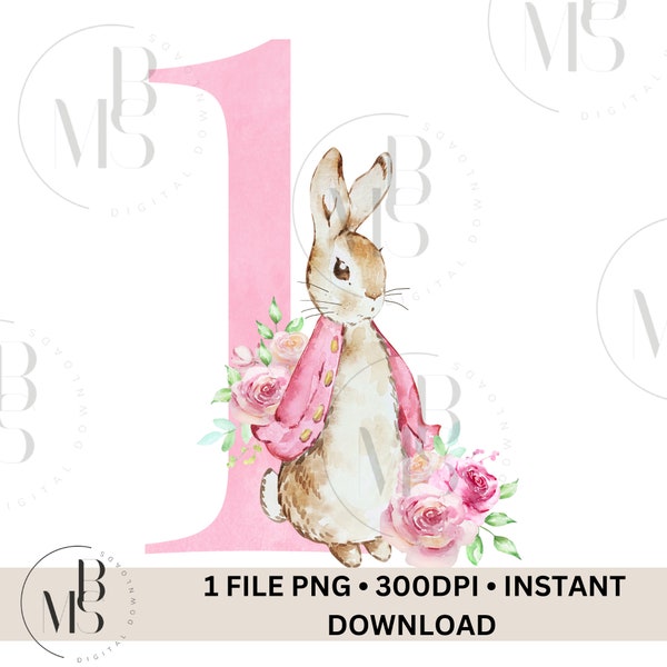 Flopsy Bunny Rabbit Watercolour Number ONE 1 Clipart Downloadable Instant Download Floral Peter Rabbit Photo Transparent Background FLOWERS