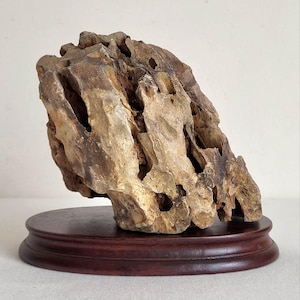 Peut inclure: Une formation rocheuse poreuse et patinée, dans des tons de beige et de brun, montée sur un socle en bois rond et foncé. La roche présente de nombreux trous et crevasses, créant un aspect texturé. Le socle est en bois poli, offrant un élément de contraste.