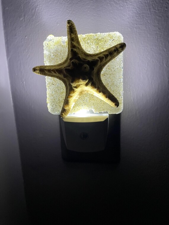 Shell and Sand Nightlight - Etsy