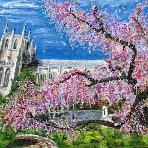 Cherry Blossoms in the Bishop's Garden at Washington National Cathedral high-quality print