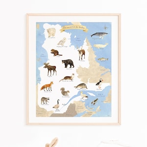 Carte des animaux du Québec - Affiche éducative personnalisée enfant - Apprendre en s'amusant - Décoration chambre enfant - création unique