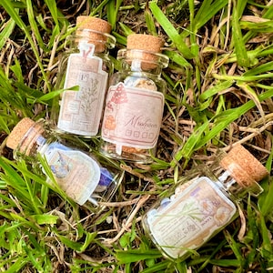 Mini Fairy Gläser - 4er Pack