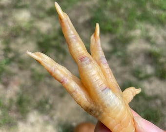 Zampe di pollo disidratate, snack/masticativo per cani (15 pezzi)