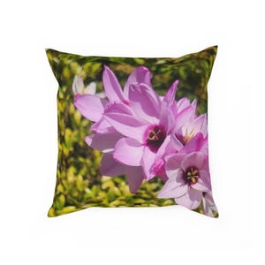 Cushion