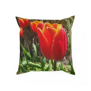 Cushion