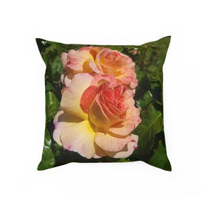 Cushion
