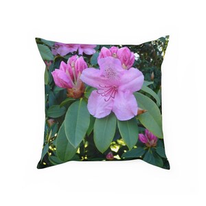 Cushion