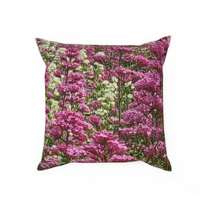 Cushion