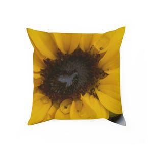 Cushion