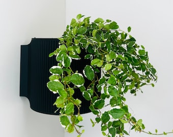 The Brunswick // Wall Mounted Pot Planter // 2 Sizes // Screw Mounted // Drainage & No Drainage Option // Multiple Colours