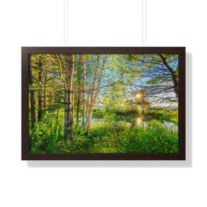 Lake Charlevoix Shore, Michigan Framed 30x20 Wall Art, Our Original Artwork, Scenery and Landscape Artwork, Michigan Art, Home Decor