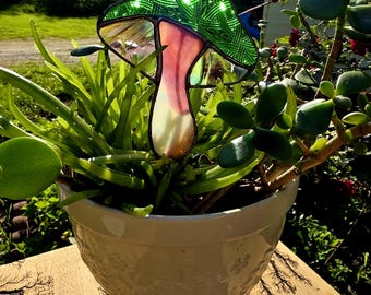 Estaca grande para planta de champiñones