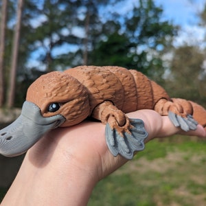 Platypus Large Articulated 3D Printed Figure - Posable Desktop Companion, Unique Wildlife Gift, Animal Model