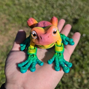 May include: A colorful, articulated frog toy with green, yellow, orange, and pink paint. The frog has large, black eyes and a wide, toothy grin.
