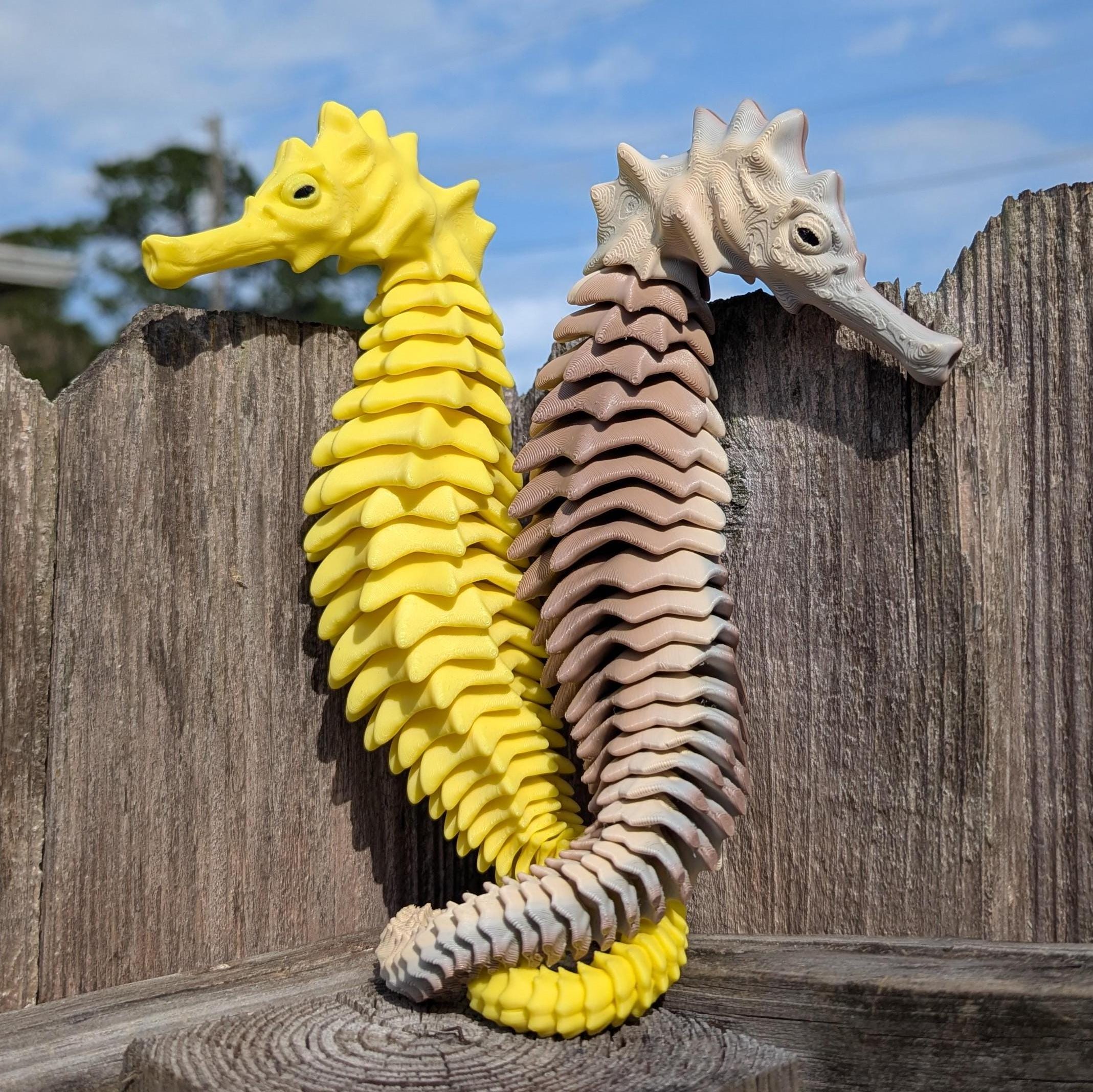 【タグあり】 turtle seahorse il_fullxfull.6664215935_jiyo.jpg