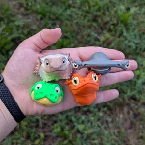 May include: A collection of four colorful, cartoonish animal head figurines. The collection includes a lizard, a hammerhead shark, a frog, and a lizard. The figurines are held in a hand against a blurred green background.