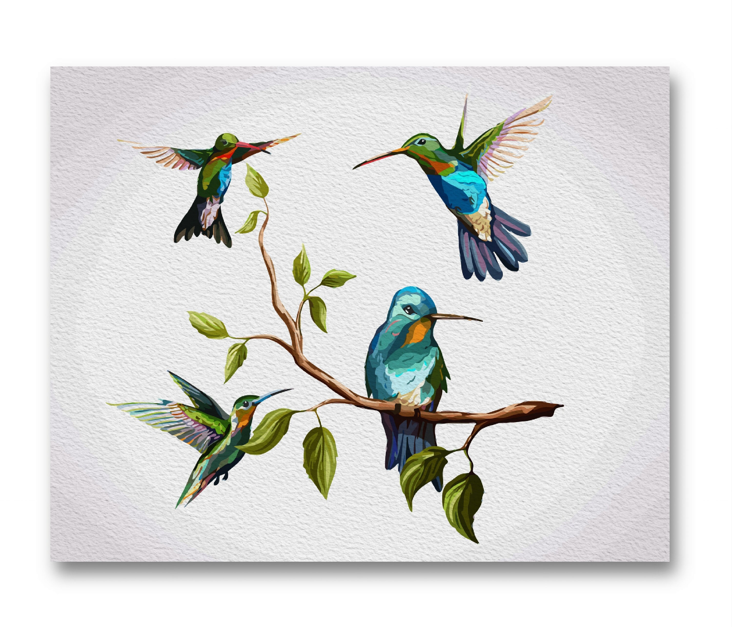 IKustar Malen Nach Zahlen Set – Kolibri-Motiv, 40x50 Cm Leinwand, Acrylfarben & Pinsel, Für Erwachsene & Kinder