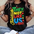 They Not Like Us Png, Juneteenth 1865 png, Afro Juneteenth Png, Black History Month png, 1865 png Juneteenth Sublimation Png, Black History.