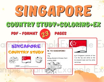 Landstudie Singapore+Kleuren+EX-activiteiten