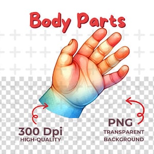 20 Human Body Parts Clip Art PNG - Etsy