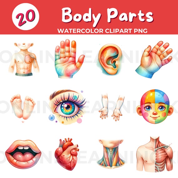 Human Body Parts Png