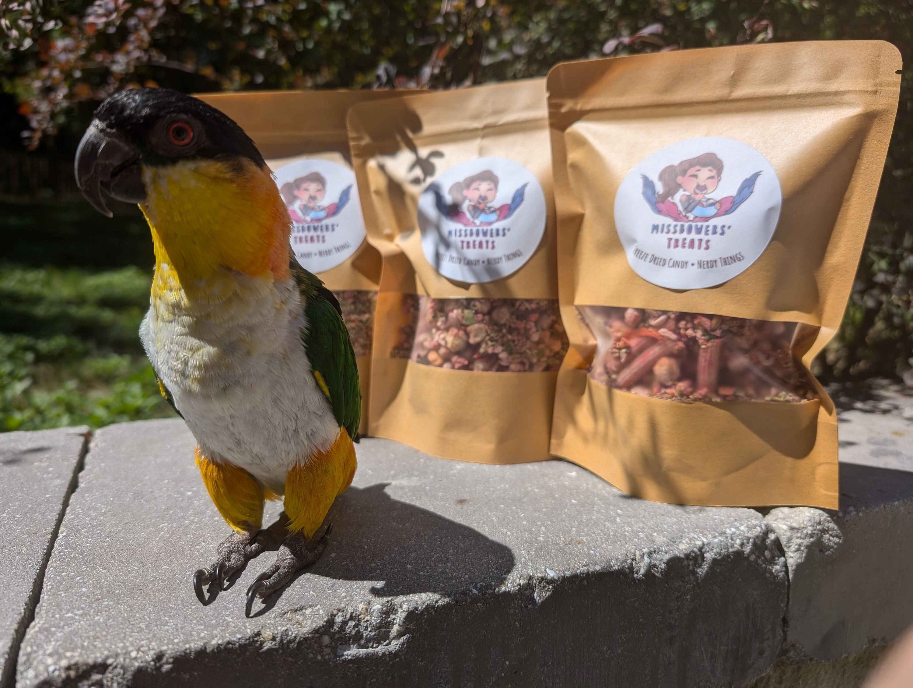 Freeze Dried Bird CHOP - Healthy