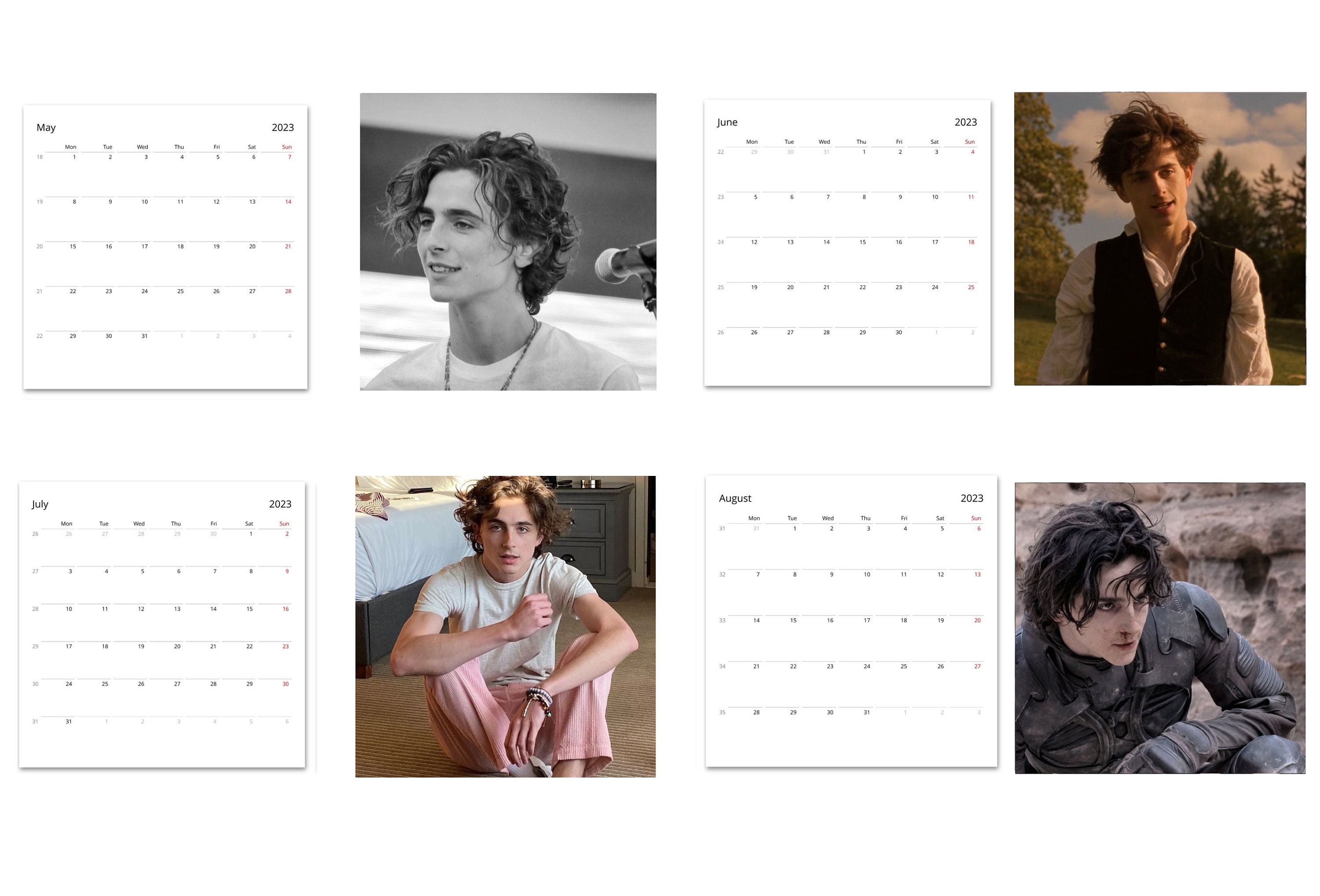 2024 Timothee Chalamet Kalender 2024 Kalender Kleine Etsy.de