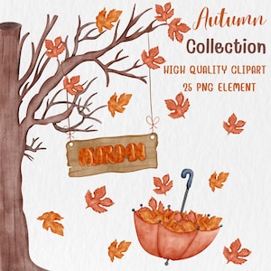 Imágenes prediseñadas de otoño de acuarela. Ilustración de tema de otoño pintada a mano. Archivo PNG de alta resolución.
