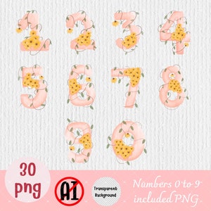 Spring flowers number, Floral numbers, Watercolor floral numbers, number clipart, pink watercolor number PNG, spring season, digital file