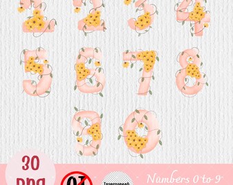 May include: Set of ten pink numbers decorated with yellow flowers and green vines. The numbers are 0 through 9 and are on a white background.  Numbers 0 to 9 included PNG.