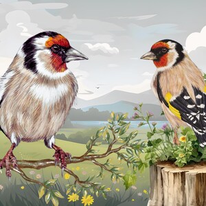 Biglietto di auguri con uccello cardellino europeo, grande, vuoto all'interno - 17,75 x 12,7 cm/7x5" biglietto deluxe con busta marrone, per gli amanti degli uccelli e del giardino
