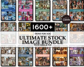 The Ultimate Stock Image Bundle with 4 Bonus | MRR & PLR | Canva | Ai Images | 15 Collections | 400 DFY Faceless Reels | Faceless Marketing