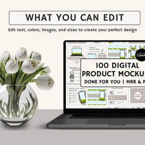 MRR Done for You Mockup Template Bundle for Digital Products With PLR ...