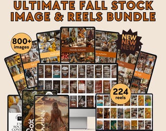 The Ultimate Fall Stock Image Bundle, Reels and 7 Stock Image Collections with Master Resell Rights & PLR | Edit in Canva | Reels with Text