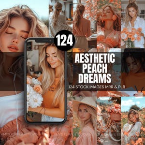 124 Aesthetic Peach Dreams-voorraadafbeeldingen 3 maten | Canvas | MRR & PLR | Anonieme digitale marketing voor sociale media eBoeken Pinterest Instagram