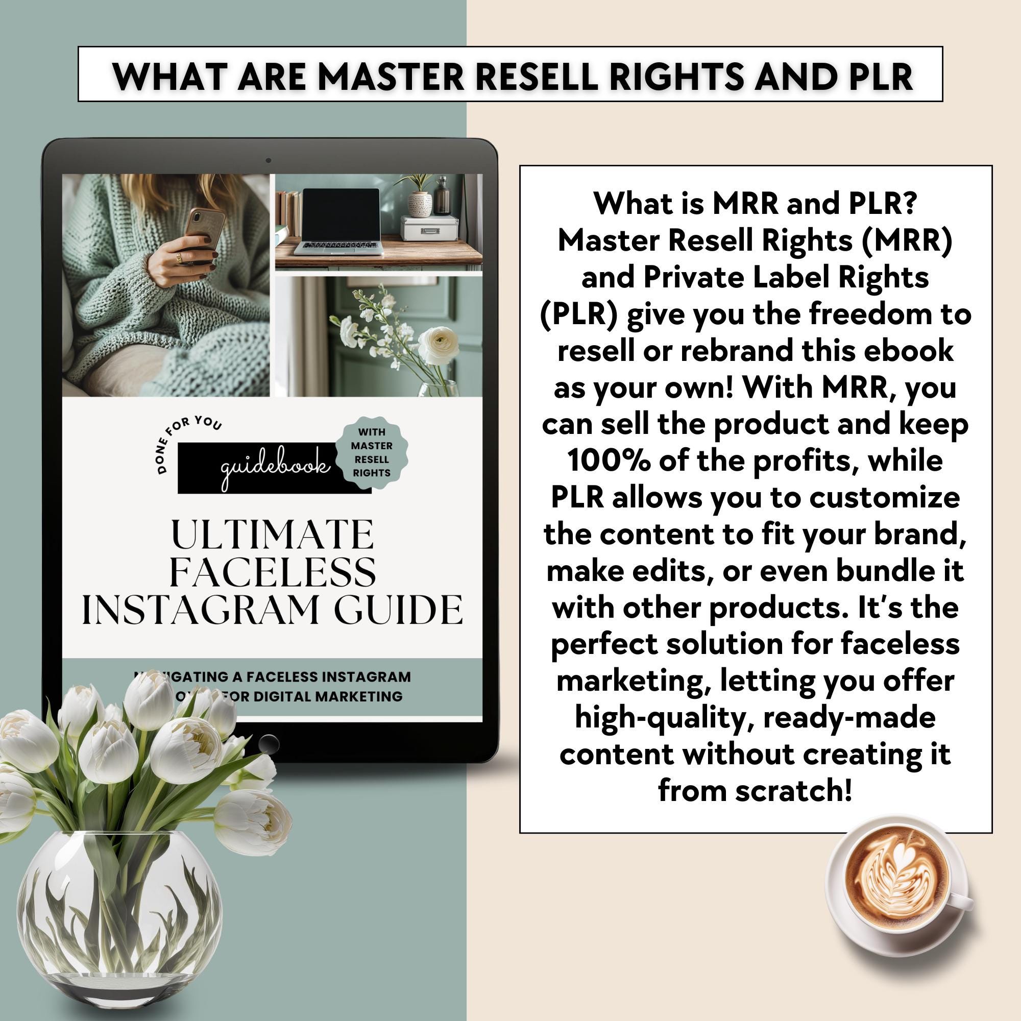 The Ultimate Faceless Instagram Guide Ebook | Edit in Canva | MRR & PLR ...