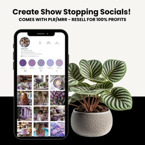 May include: A screenshot of an Instagram profile with a grid of photos in a purple color scheme. The profile name is "Amy | Digital Marketing" and the bio says "I teach how to make passive income & $1,000+ monthly.  Click Link". The profile has 290 posts, 10,000 followers, and 49 following.