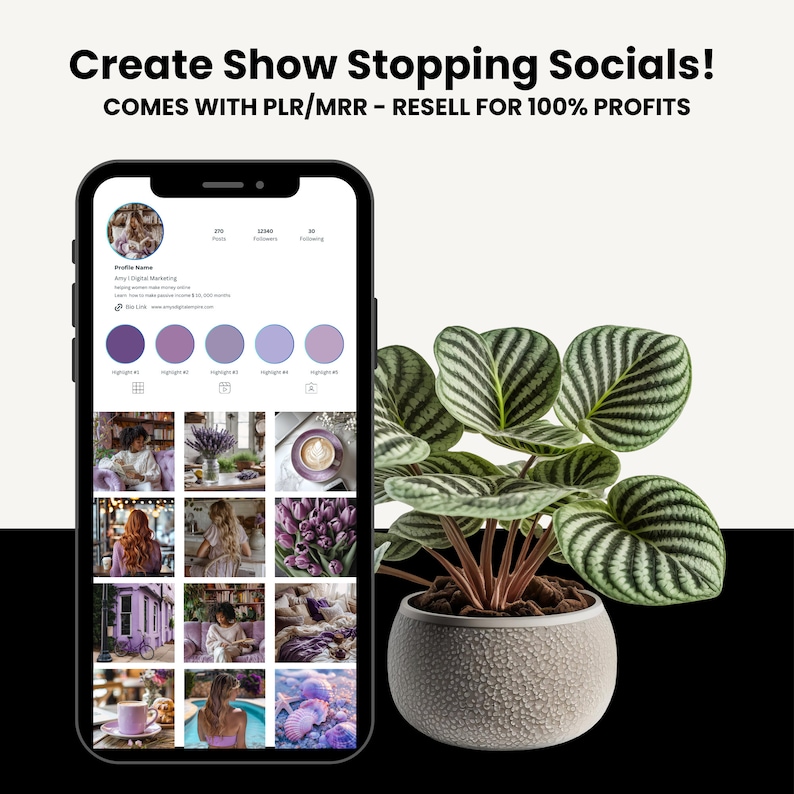 May include: A screenshot of an Instagram profile with a grid of photos in a purple color scheme. The profile name is "Amy | Digital Marketing" and the bio says "I teach how to make passive income & $1,000+ monthly.  Click Link". The profile has 290 posts, 10,000 followers, and 49 following.