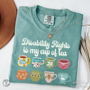 Disability Rights, Accessibility TShirt, Inclusion Diversity Tee, Sped Teacher T-Shirt, Equal Access Advocate Shirt, Accessibility Matters