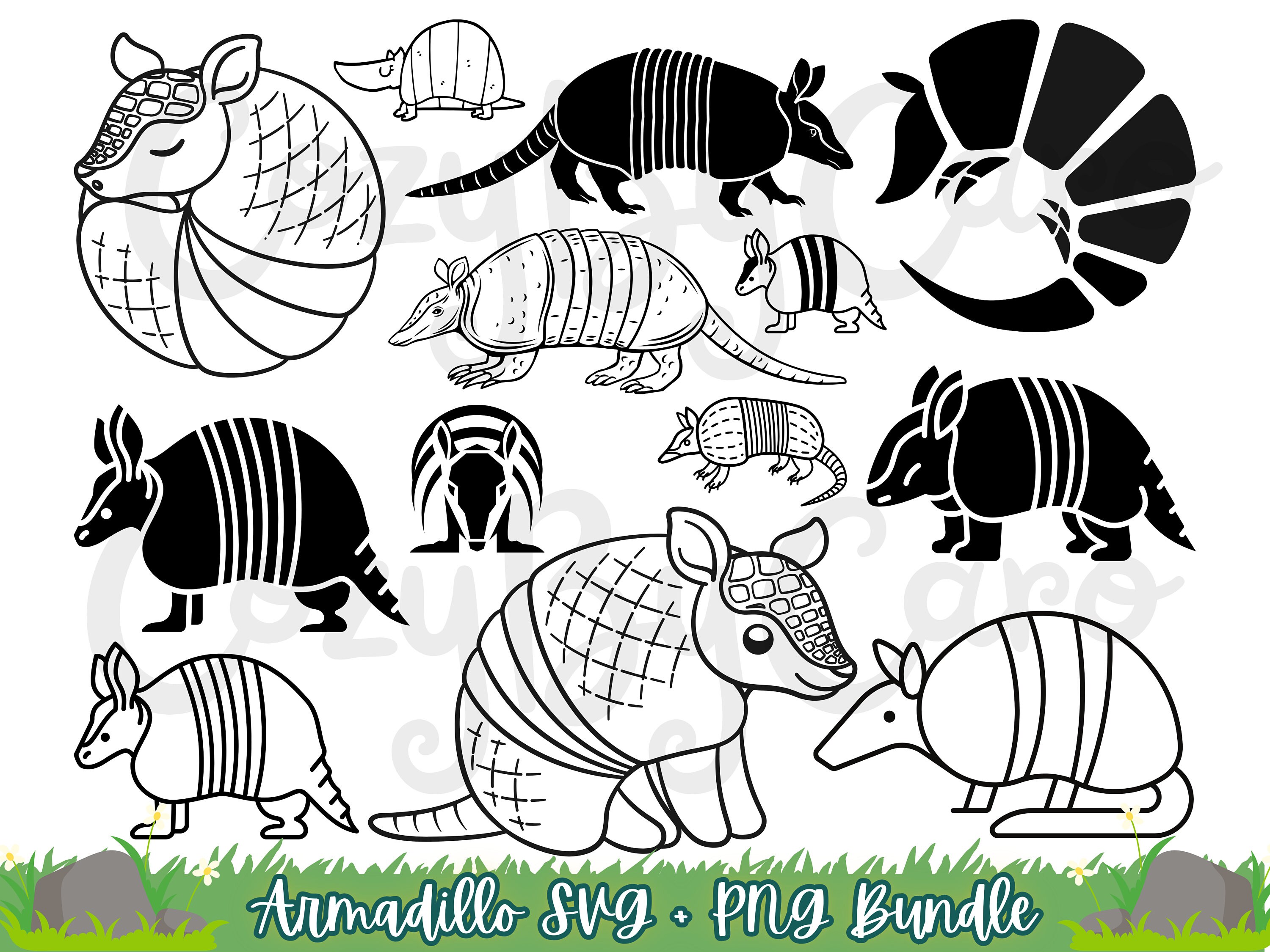 Cute Armadillo SVG PNG Multi Pack Cutting Machine Jungle Animal Cricut ...