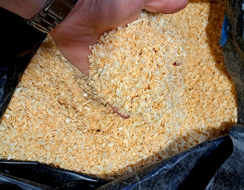 Puede incluir: Primer plano de una mano sosteniendo un pu&ntilde;ado de virutas de madera de color marr&oacute;n claro. Las virutas son gruesas y texturizadas, con una mezcla de tonos claros y oscuros. Se puede ver una peque&ntilde;a lombriz de tierra rosa entre las virutas. Las virutas est&aacute;n contenidas en una bolsa de pl&aacute;stico negra.