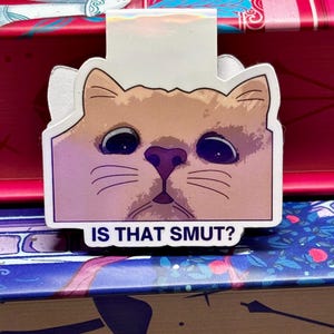 Mini magnetic bookmark is that smut cat holographic laminate, sparkly bookmarks, bookish, smut, smutty reader, spicy books, spicy romance