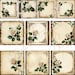 Design Old Paper With Roses - Etsy